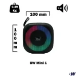 اسپیکر BW MINI1